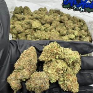 Punch Breath strain by Symbiotic Genetics — dense mint-green buds with purple hues and orange pistils